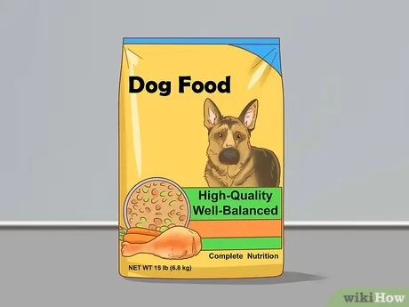Better Health For Dogs